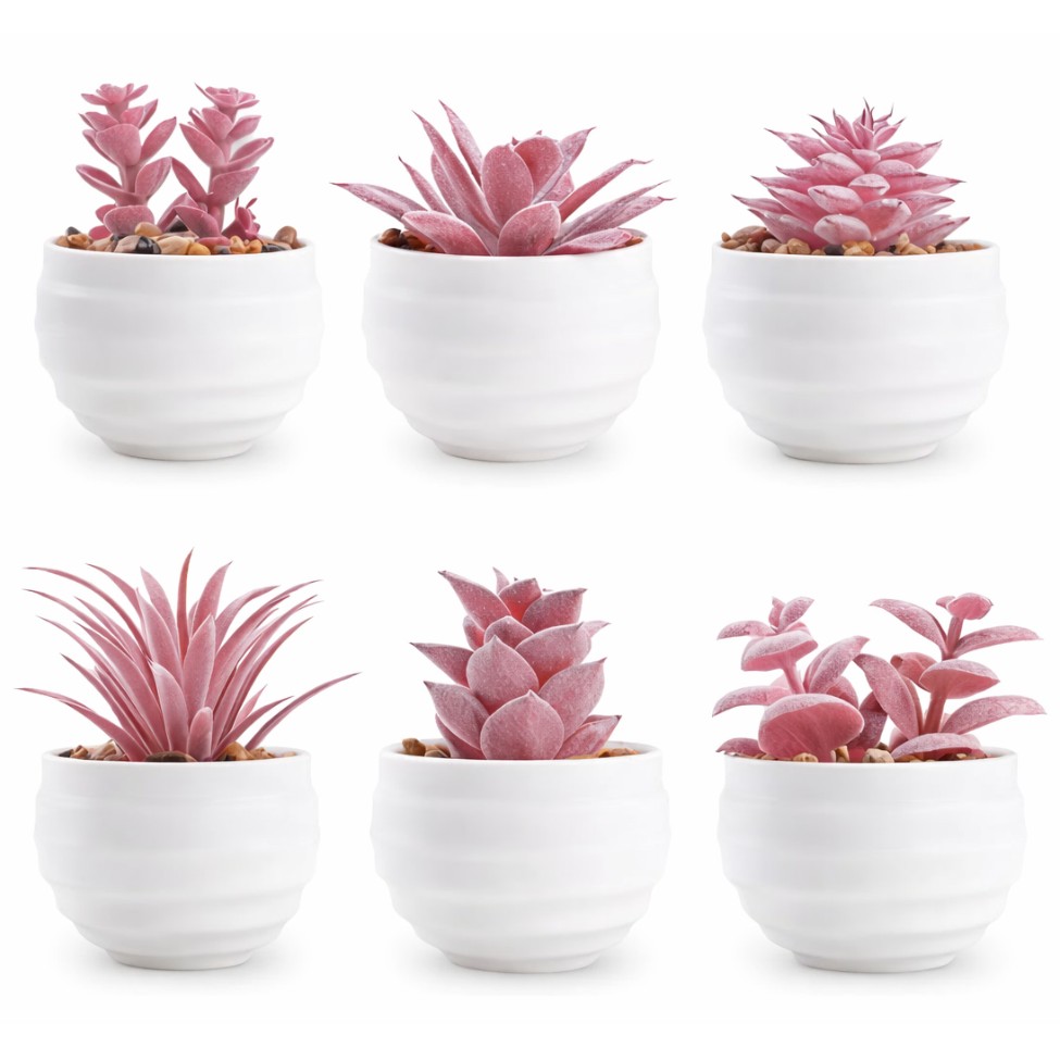 Set of mini artificial succulents in white ceramic pots; simple desk gift for coworkers.